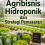 Agribisnis Hidroponik dan Strategi Pemasaran 
