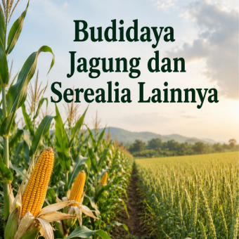 Budidaya Jagung dan Serealia Lainnya 