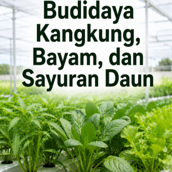 Budidaya Kangkung, Bayam, dan Sayuran Daun 