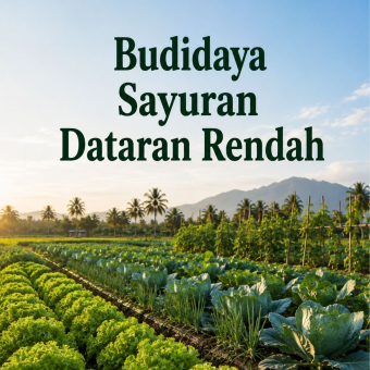 Budidaya Sayuran Dataran Rendah 