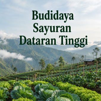 Budidaya Sayuran Dataran Tinggi 