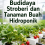 Budidaya Stroberi dan Tanaman Buah Hidroponik 