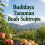 Budidaya Tanaman Buah Subtropis 