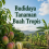 Budidaya Tanaman Buah Tropis 