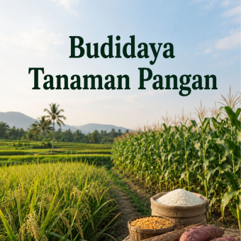 Budidaya Tanaman Pangan