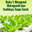 Buku 1: Mengenal Hidroponik dan Budidaya Tanpa Tanah 