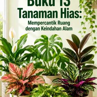 Buku 13 Tanaman Hias: Mempercantik Ruang dengan Keindahan Alam 