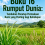 Buku 16 Rumput Dunia: Tumbuhan Penutup Permukaan Bumi yang Penting bagi Kehidupan 