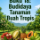 Buku 18: Budidaya Tanaman Buah Tropis 
