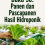Buku 30: Panen dan Pascapanen Hasil Hidroponik 