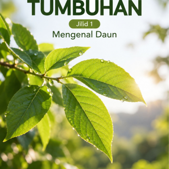 Daun Tumbuhan Jilid 1 Mengenal Daun 