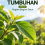 Daun Tumbuhan Jilid 2 Bagian-Bagian Daun 