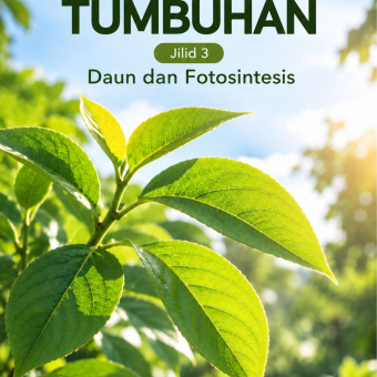 Daun Tumbuhan Jilid 3 Daun dan Fotosintesis 