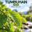 Daun Tumbuhan Jilid 6 Daun dan Air 