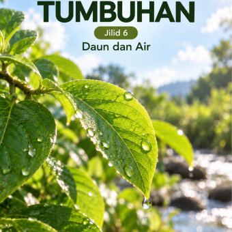 Daun Tumbuhan Jilid 6 Daun dan Air 