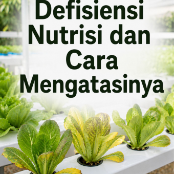 Defisiensi Nutrisi dan Cara Mengatasinya 