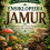 Ensiklopedia Jamur: Menjelajahi Dunia Fungi yang Menakjubkan 