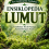 Ensiklopedia Lumut: Tumbuhan Kecil Penjaga Keseimbangan Alam 