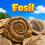 Fosil 