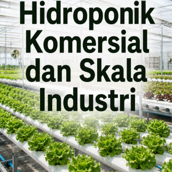 Hidroponik Komersial dan Skala Industri 