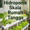 Hidroponik Skala Rumah Tangga 