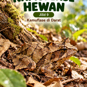 Kamuflase Hewan Jilid 9 Kamuflase di Darat 