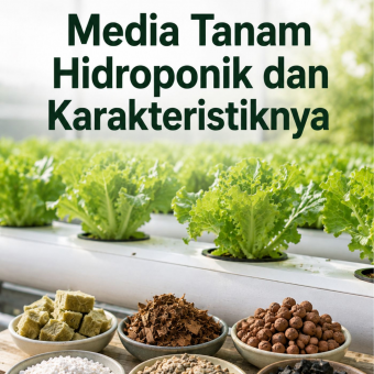 Media Tanam Hidroponik dan Karakteristiknya 