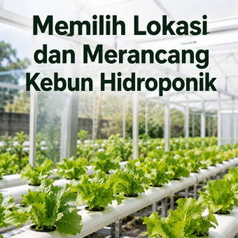 Memilih Lokasi dan Merancang Kebun Hidroponik 