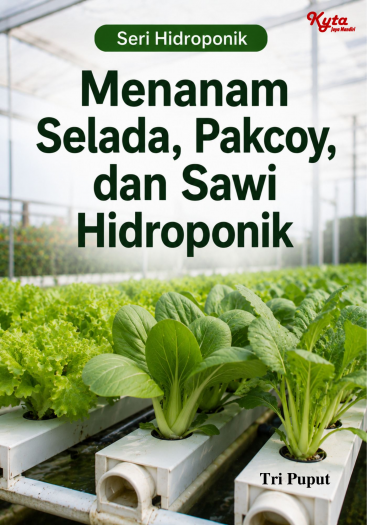 Menanam Selada, Pakcoy, dan Sawi Hidroponik 