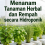 Menanam Tanaman Herbal dan Rempah secara Hidroponik 