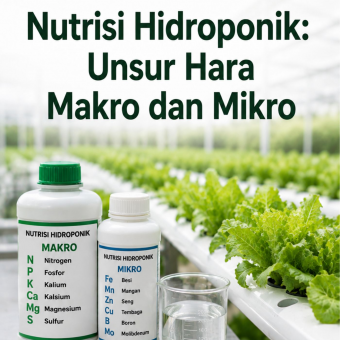 Nutrisi Hidroponik: Unsur Hara Makro dan Mikro 