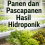 Panen dan Pascapanen Hasil Hidroponik 