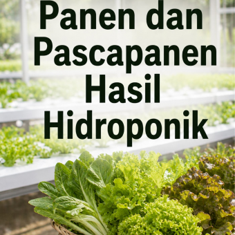 Panen dan Pascapanen Hasil Hidroponik 