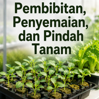 Pembibitan, Penyemaian, dan Pindah Tanam 