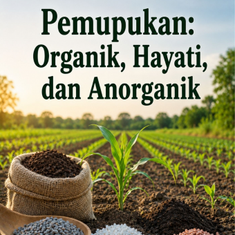 Pemupukan: Organik, Hayati, dan Anorganik 