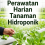 Perawatan Harian Tanaman Hidroponik
