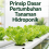 Prinsip Dasar Pertumbuhan Tanaman Hidroponik 