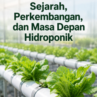 Sejarah, Perkembangan, dan Masa Depan Hidroponik