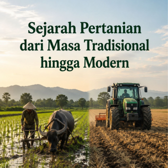 Sejarah Pertanian dari Masa Tradisional hingga Modern 