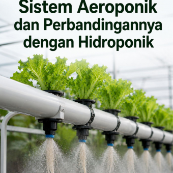 Sistem Aeroponik dan Perbandingannya dengan Hidroponik 