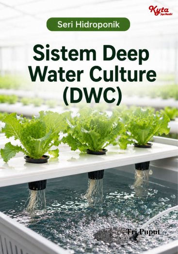 Sistem Deep Water Culture (DWC) 
