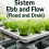 Sistem Ebb and Flow (Flood and Drain) 