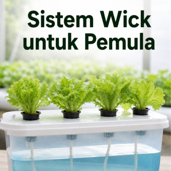 Sistem Wick untuk Pemula 