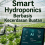 Smart Hydroponics Berbasis Kecerdasan Buatan 