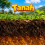 Tanah 